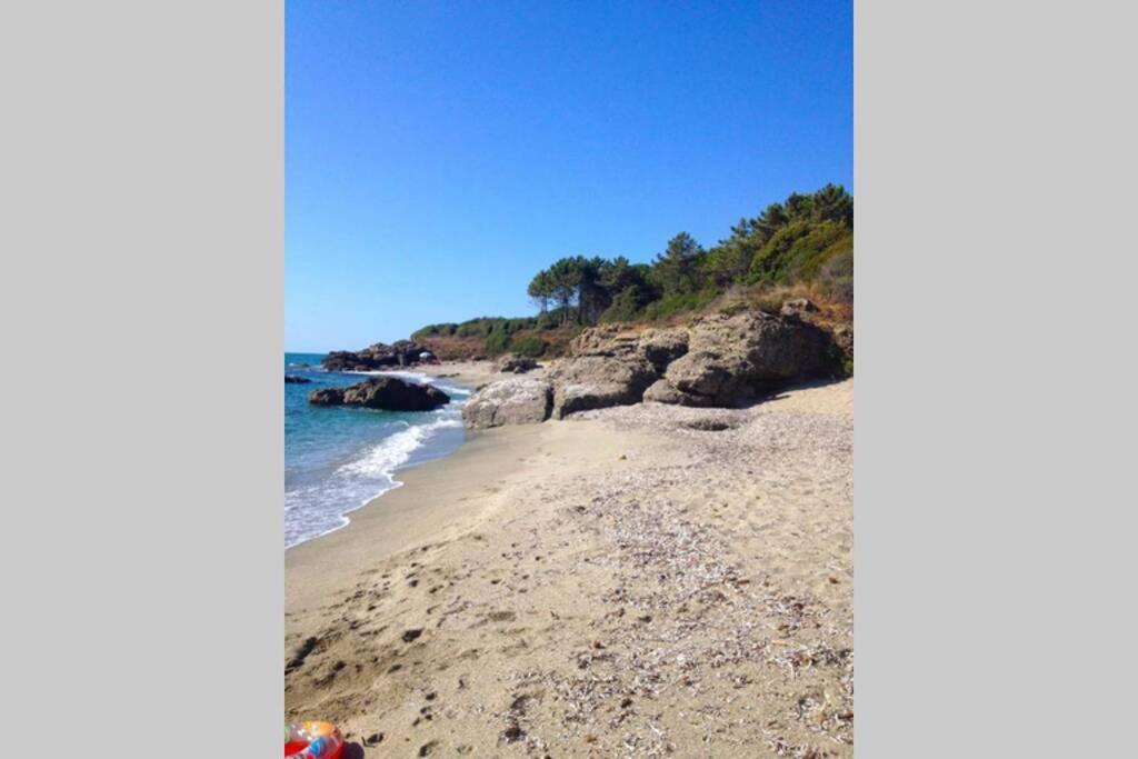 Marine De Bravone T2 Terrasse Front De Mer - Plage Pieds Dans L'Eau - Clim - Piscine - Wifi Linguizzetta Eksteriør bilde