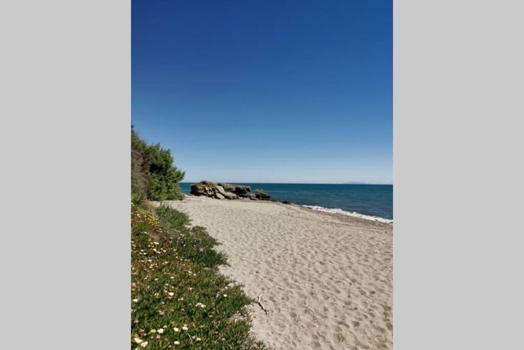 Marine De Bravone T2 Terrasse Front De Mer - Plage Pieds Dans L'Eau - Clim - Piscine - Wifi Linguizzetta Eksteriør bilde