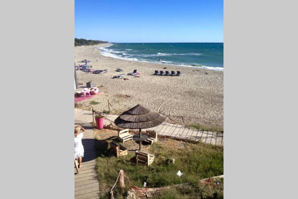 Marine De Bravone T2 Terrasse Front De Mer - Plage Pieds Dans L'Eau - Clim - Piscine - Wifi Linguizzetta Eksteriør bilde