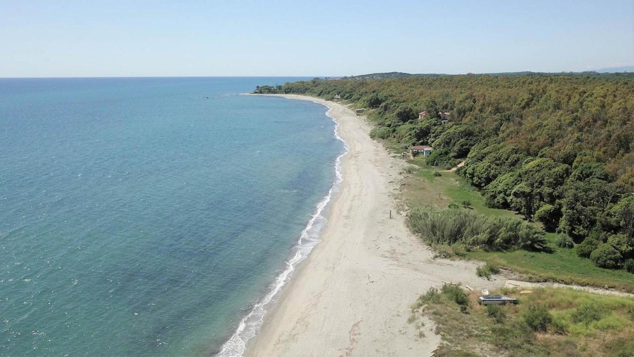 Marine De Bravone T2 Terrasse Front De Mer - Plage Pieds Dans L'Eau - Clim - Piscine - Wifi Linguizzetta Eksteriør bilde