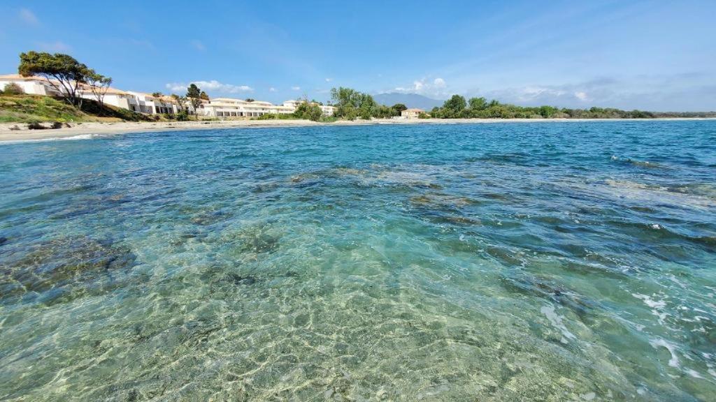 Marine De Bravone T2 Terrasse Front De Mer - Plage Pieds Dans L'Eau - Clim - Piscine - Wifi Linguizzetta Eksteriør bilde